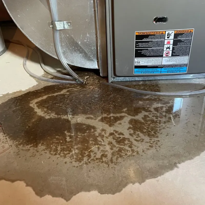 Pipe Burst and Leak Restoration in Highland County, OH