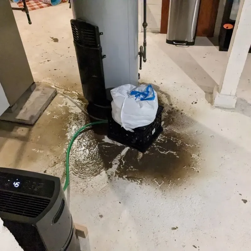 Sewage Backup Cleanup Service in Highland County, OH